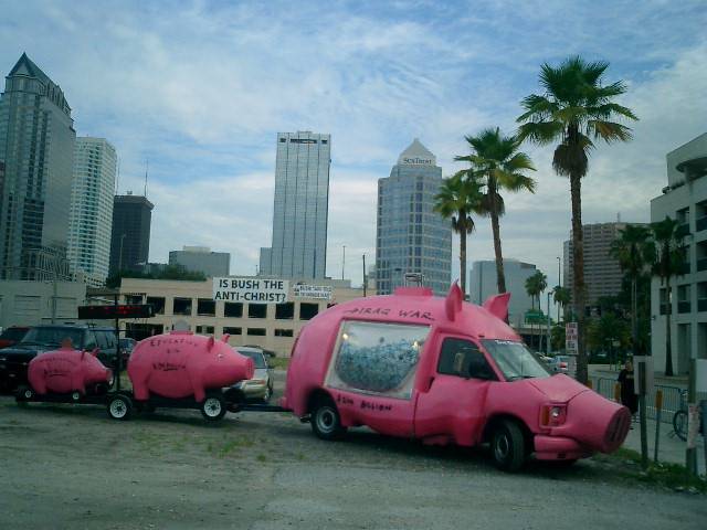 pigtampa.jpg