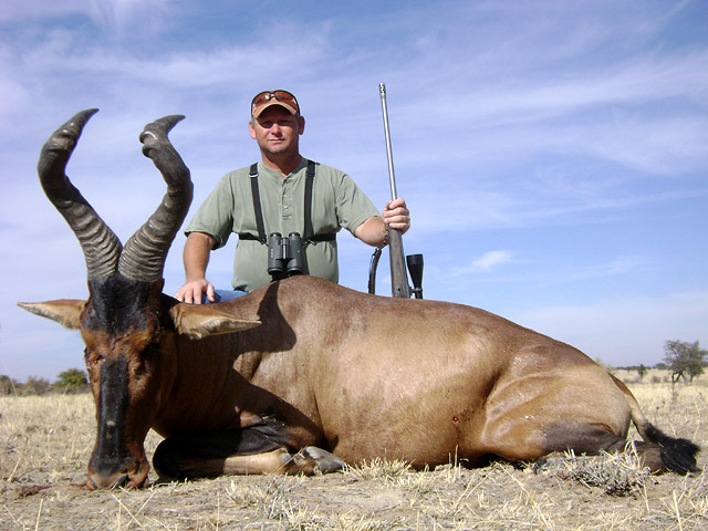 hartebeest_large01.jpg