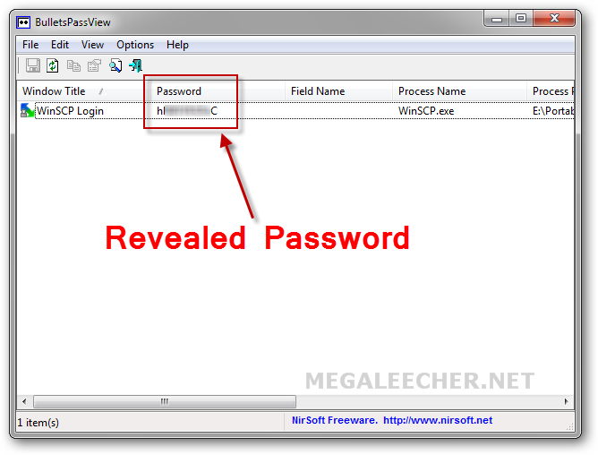 bulletpass-revealed-password.png