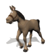 animated-donkey-mule-ass-horse-animation-walking.gif