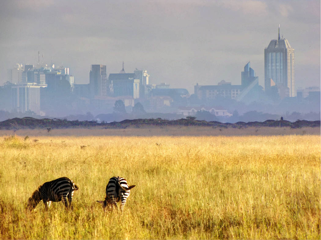 3-unmissable-experiences-Nairobi_Nairobi-national-park.jpg