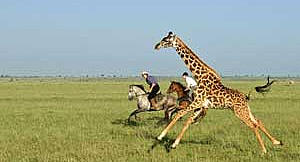 HorseRidingSafaris.jpg