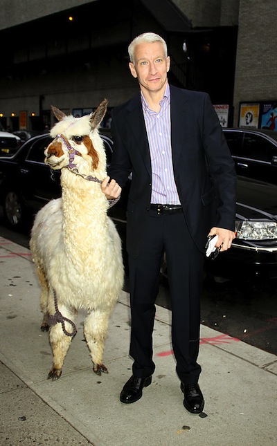 andersoncooper_withllama.jpg