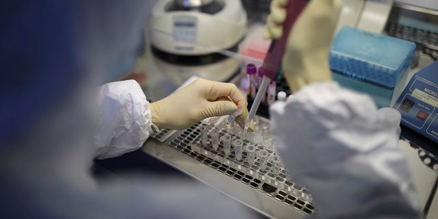 A medical staffer works with test systems for the diagnosis of coronavirus, at the Krasnodar Center for Hygiene and Epidemiology microbiology lab in Krasnodar, Russia.