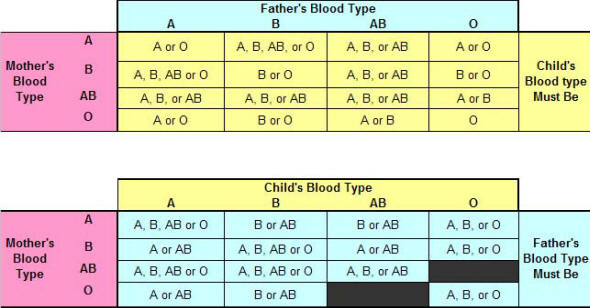 Paternity_Blood_type_Chart-590.jpg