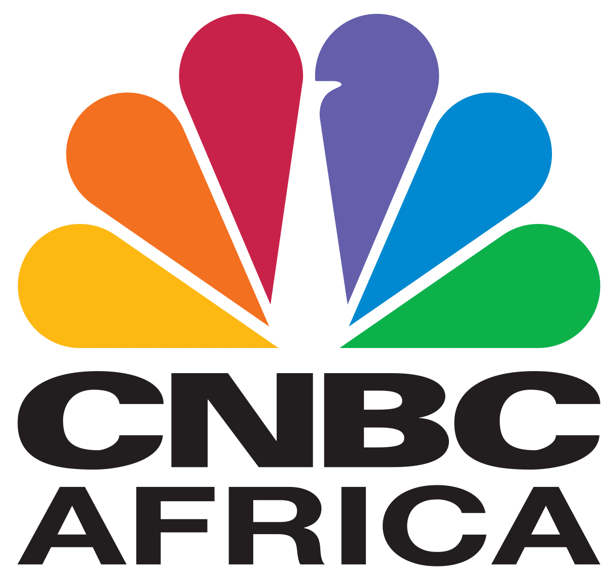 www.cnbcafrica.com