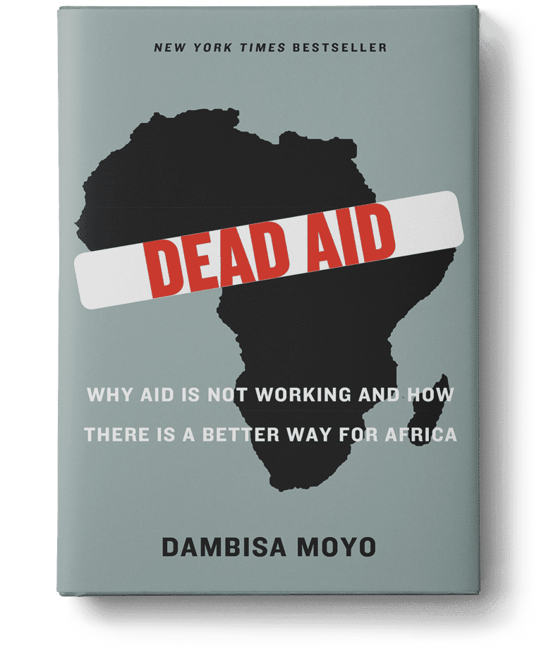 dambisamoyo.com