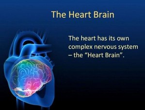 hearts-brain1.jpg