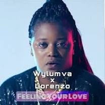 Wylumva X Lorenzo - Feeling Your Love (Official Video) from bongocd.com