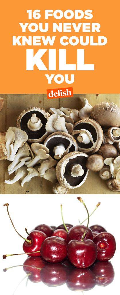 Champignon mushroom, Agaricus, Ingredient, Mushroom, Superfood, Food, Natural foods, Cuisine, Agaricomycetes, Agaricaceae, 