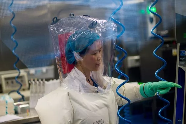 Chinese virologist Shi Zhengli at work in her lab in Wuhan