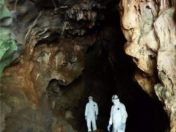 The Institute of Virology previously explored this cave, which had bats carrying SARS related viruses