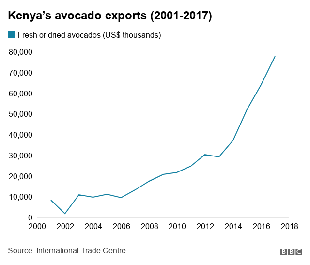 _104134532_kenya_avocados_640-nc.png