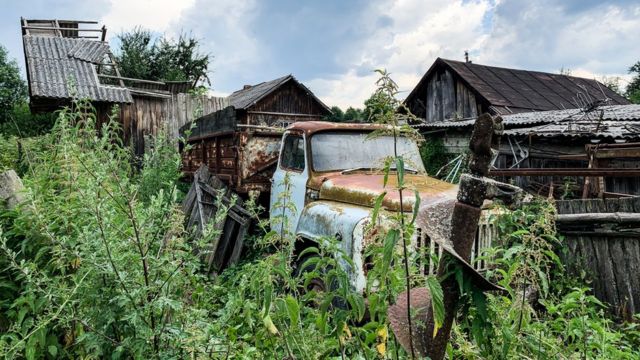 Zona abandonada en Chernóbil tomada por la vegetación.