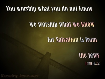 John 4-22 Salvation Is From The Jews brown.jpg