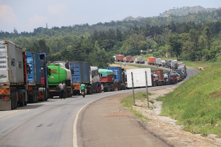 Long distance trucks line up along the Amagoro-Malaba Highway as they wait to cross the border to Uganda