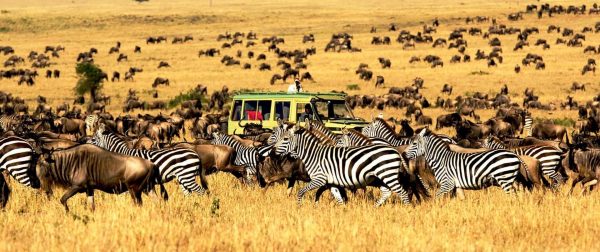 Serengeti-National-Park-1-e1533474365665.jpg