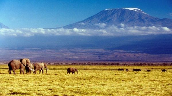 trek-mt-kilimanjaro-lemosho-route-via-crater-camp-tour-2-265483_1496893750-e1533474308304.jpg