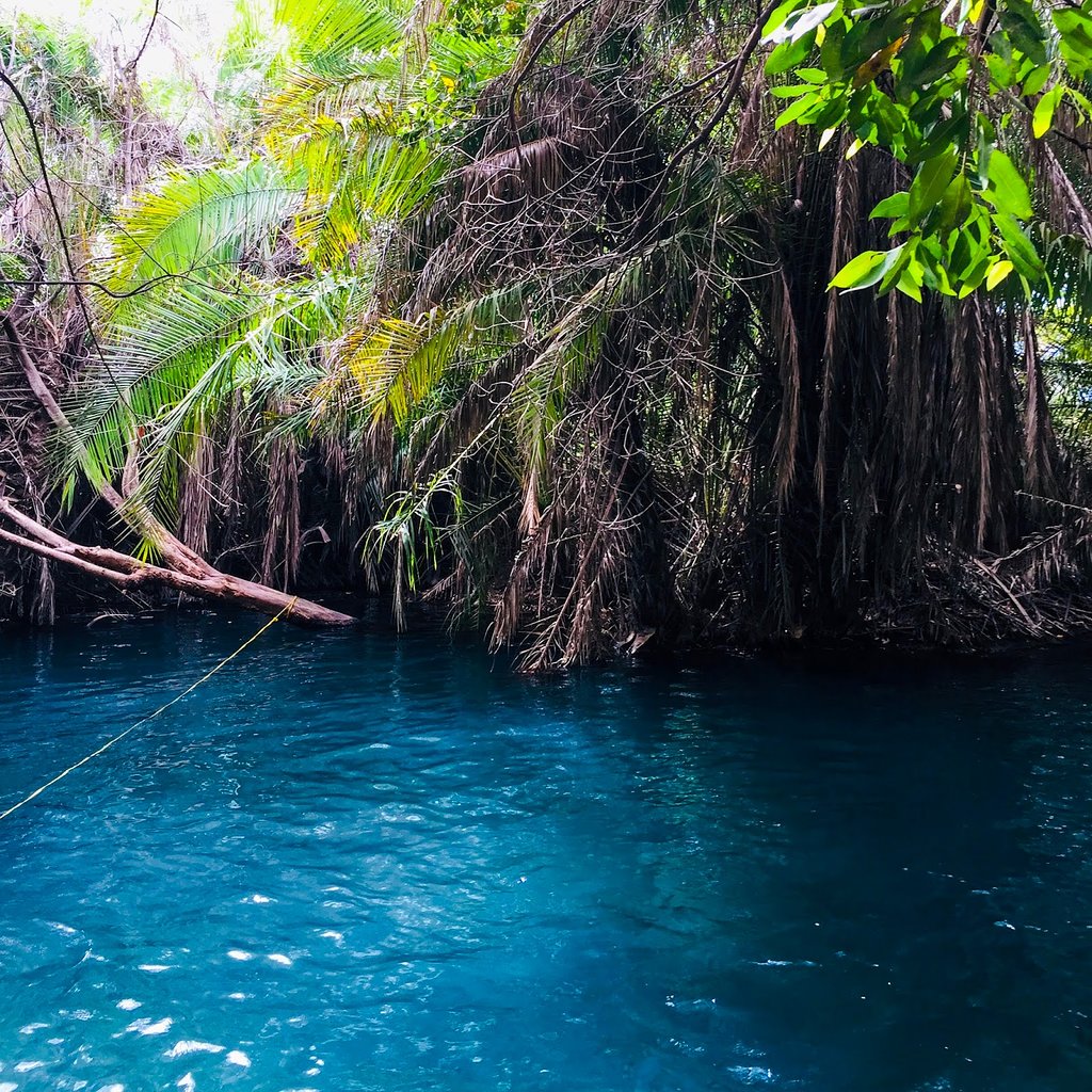 kikuletwa-hotsprings.jpg