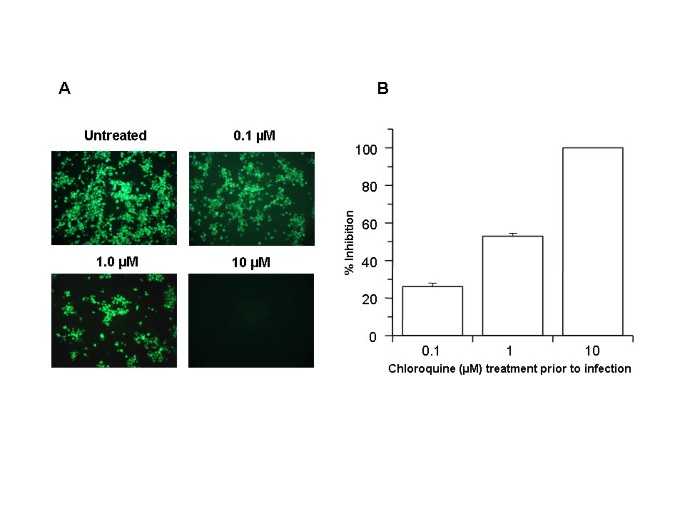 figure1