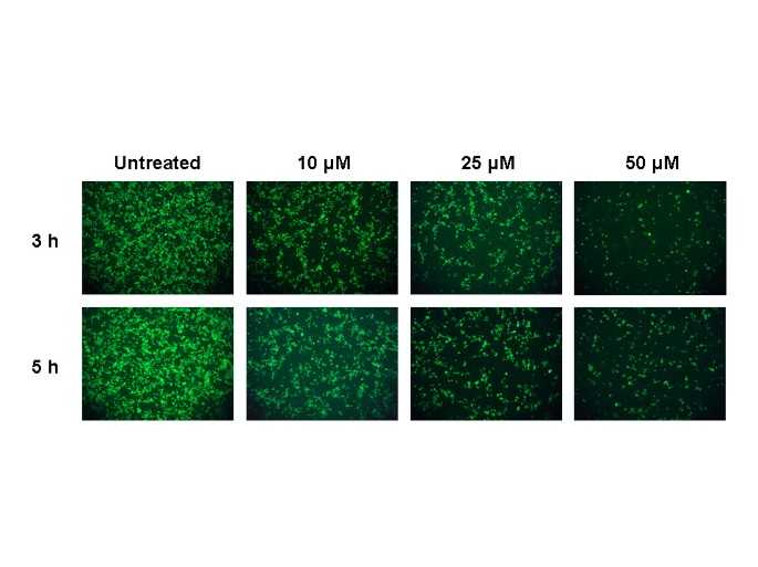 figure3