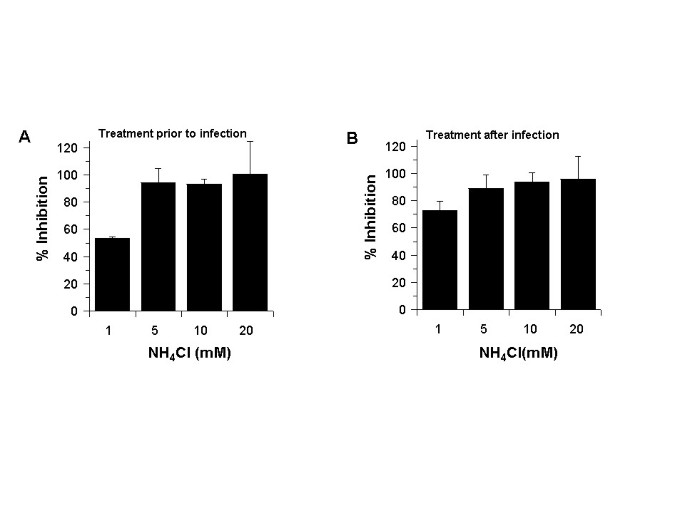 figure4