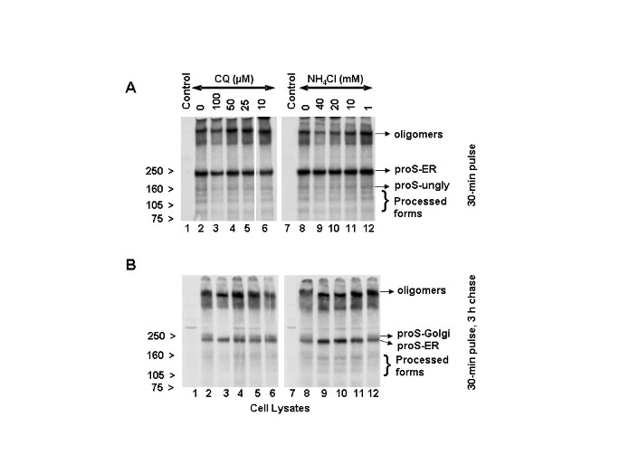 figure6