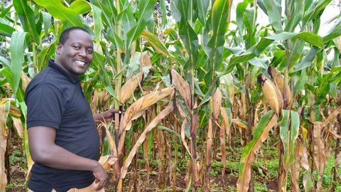 How co-ops help TZ farmers feed Kenya