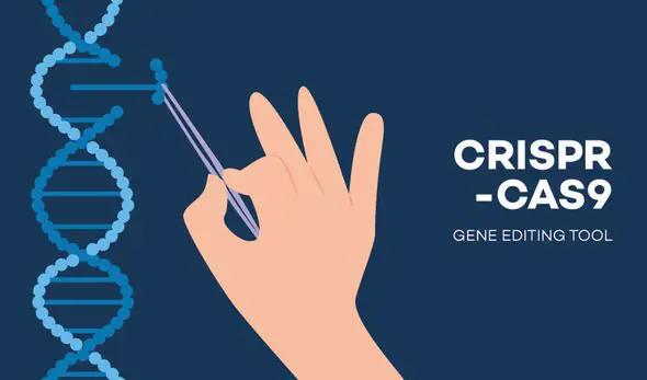 CRISPR