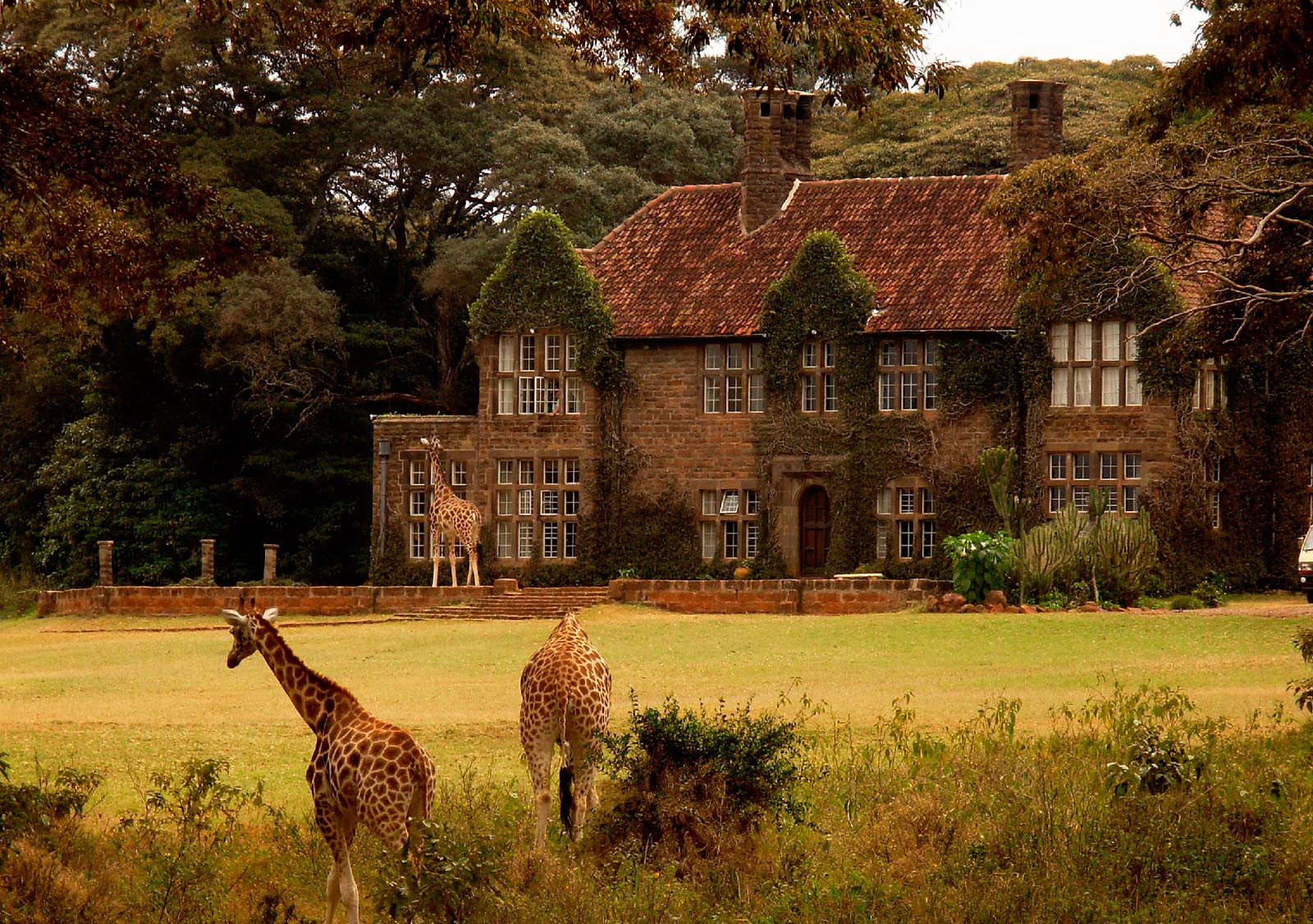 giraffe-centre-in-nairobi-kenya-by-phillip-black-2007.jpg