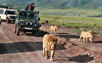 safari-in-tanzania.jpg