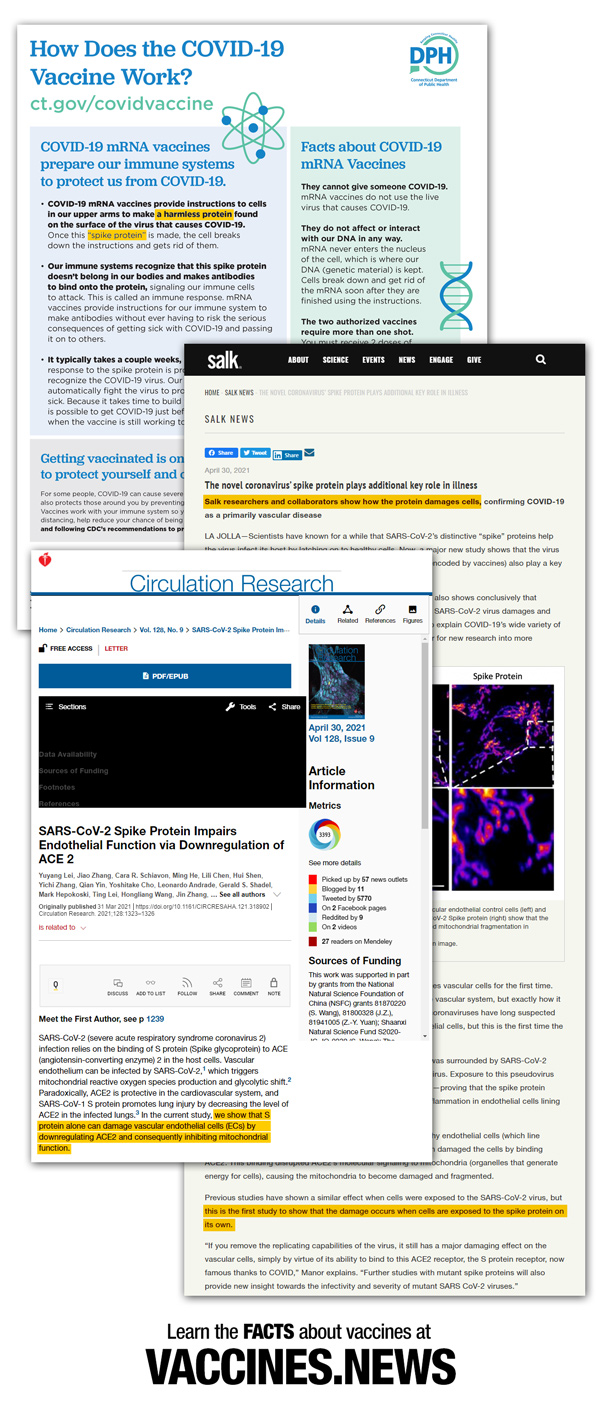 DPH-Salk-Circ-Research-600.jpg