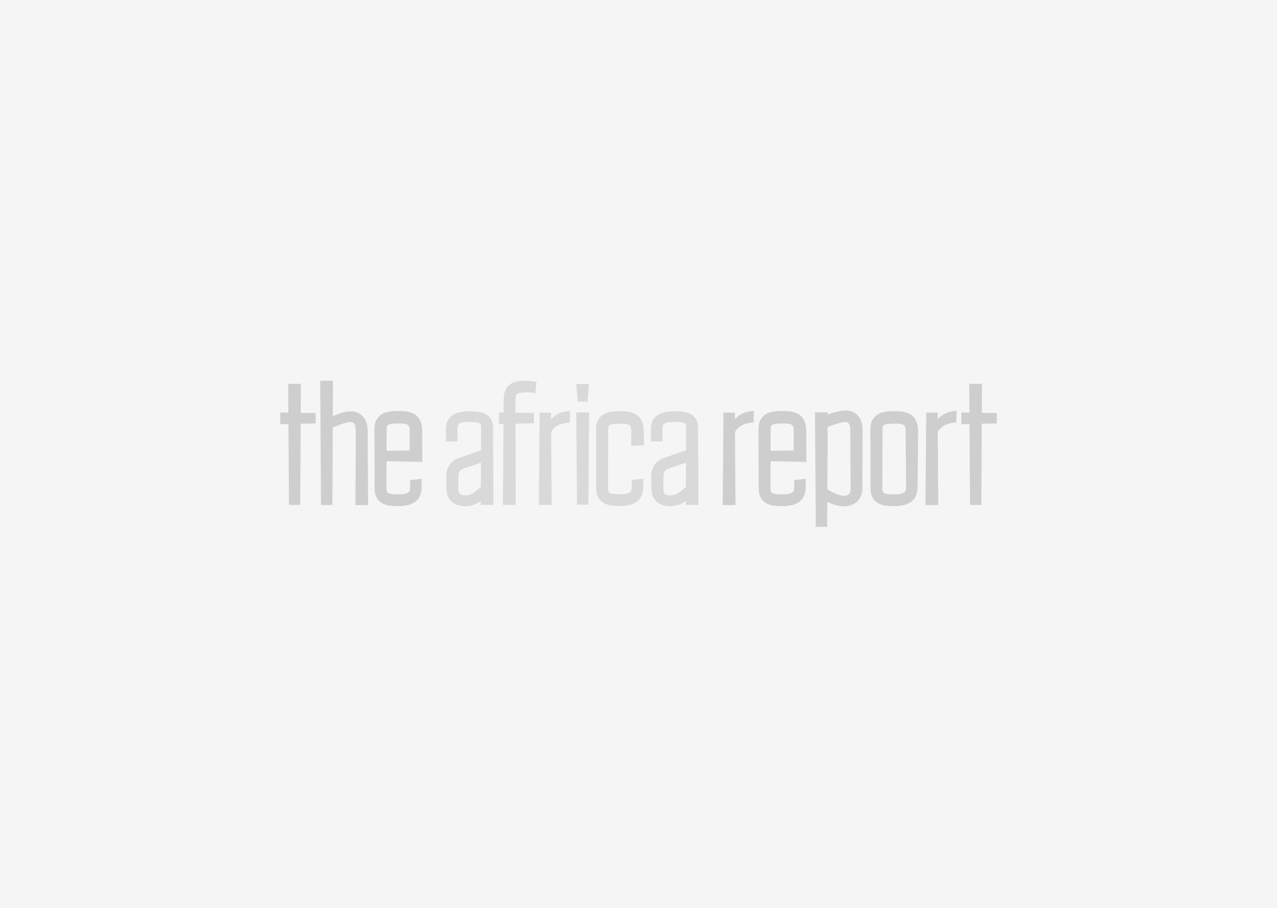 www.theafricareport.com