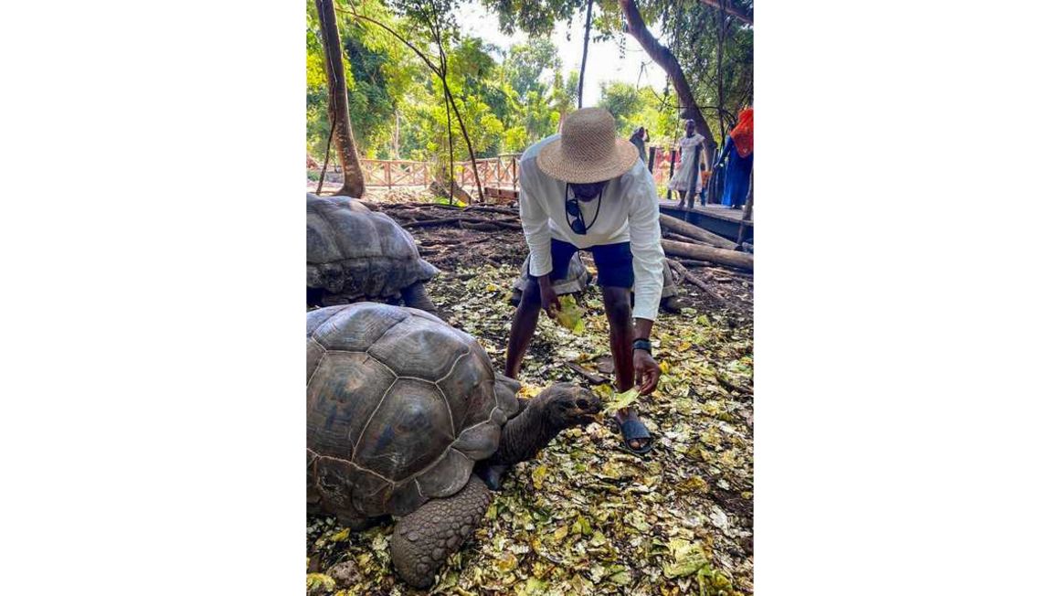 The turtle sanctuary in Zanzibar.